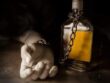 Fumat, Alcool și Substanțe Interzise