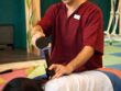 Terapia Tok Sen - George Biga