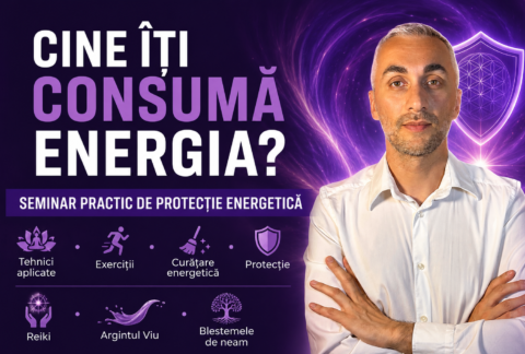 Seminar - Cine iti consuma energia - George Biga